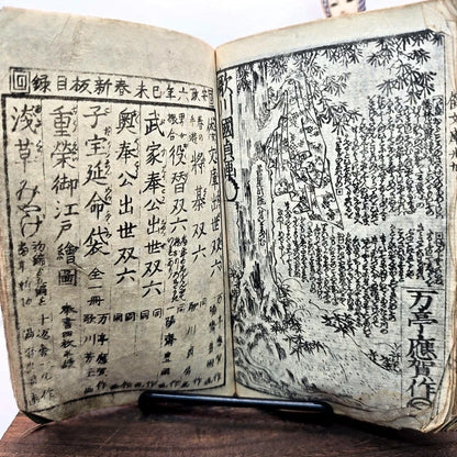 Libro Giappone Xilografia Edo 1800 Illustrato Ukiyo-e Bunko Completo